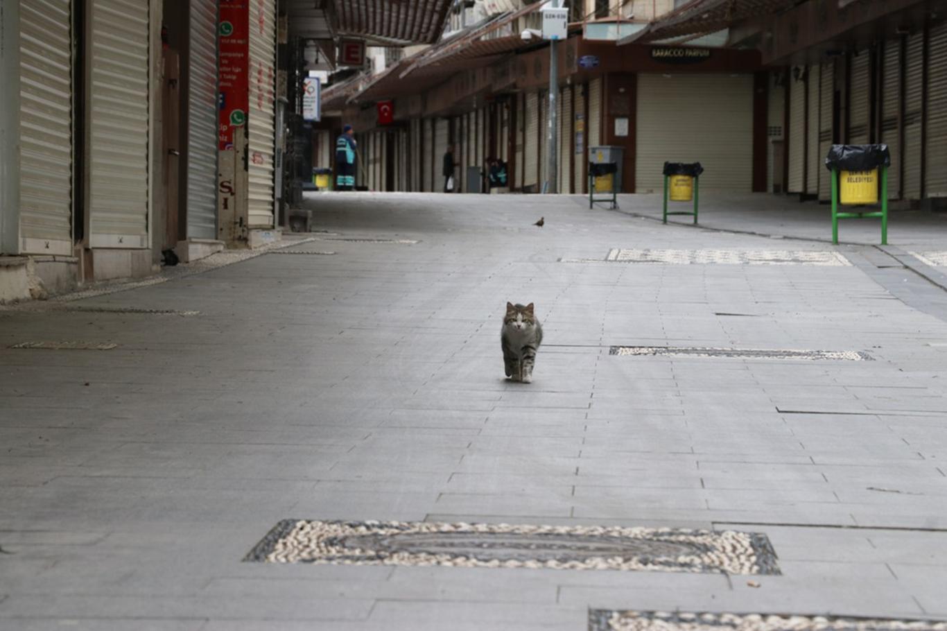 Turkey’s cities fall silent as a two-day curfew begins